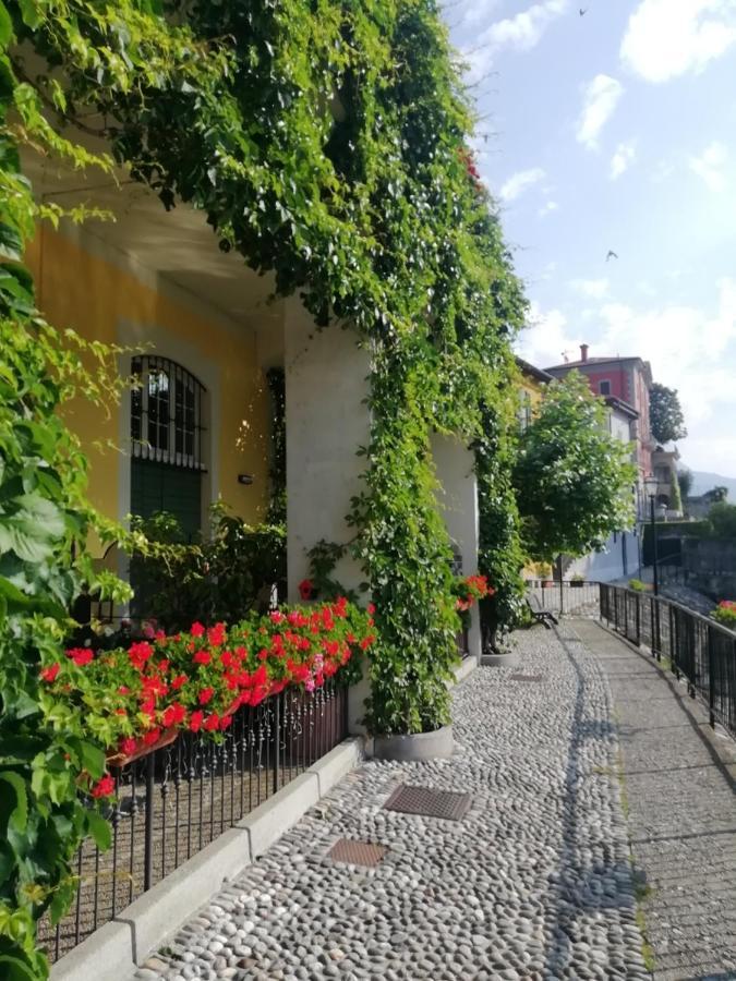 Viewtiful Homestay Stazzona Kültér fotó