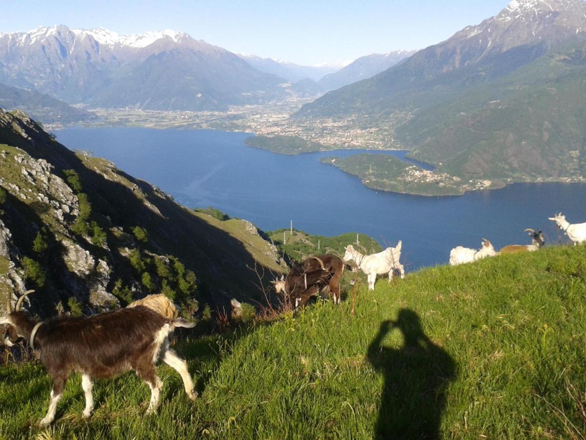 Viewtiful Homestay Stazzona Kültér fotó