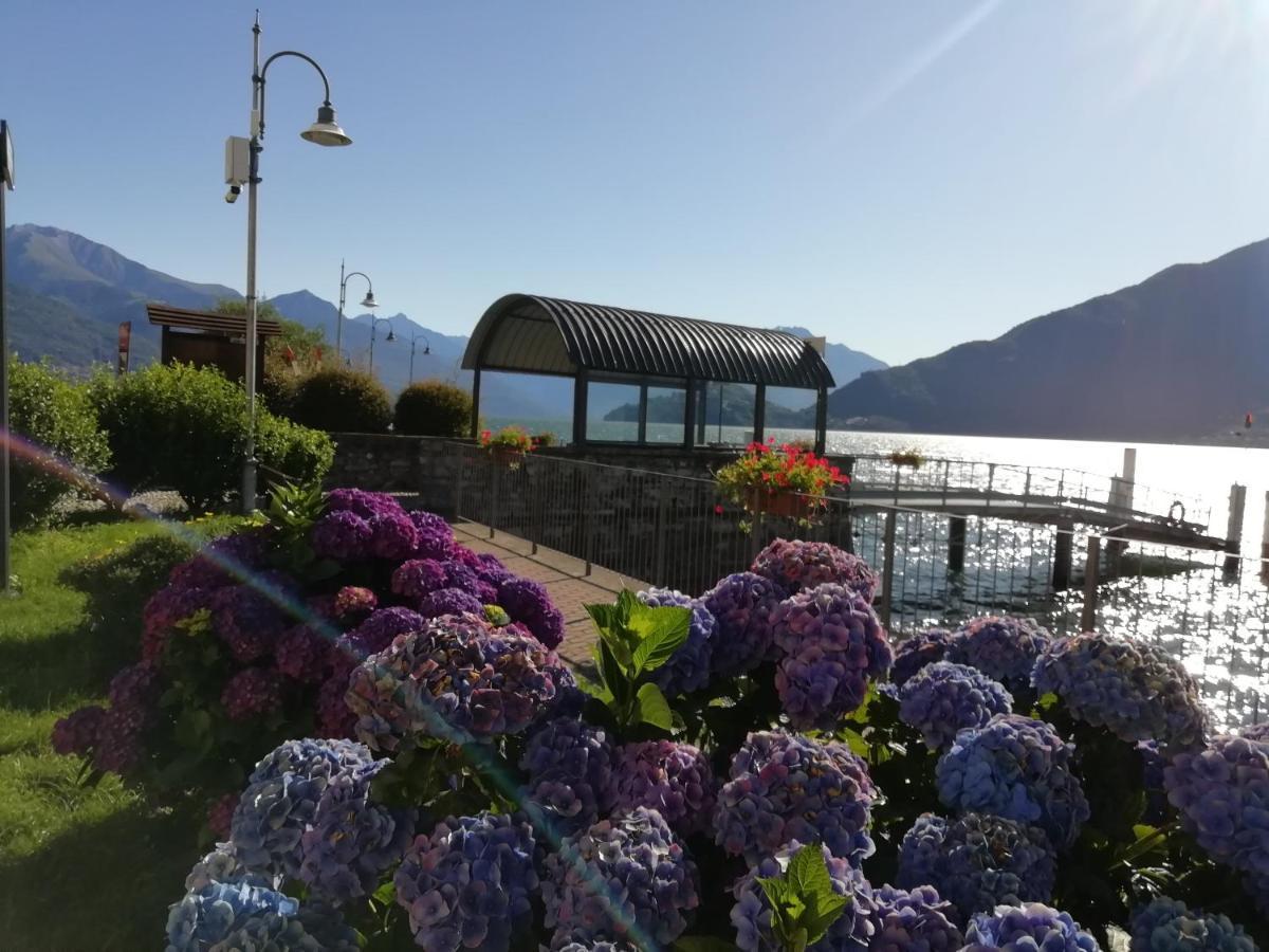 Viewtiful Homestay Stazzona Kültér fotó