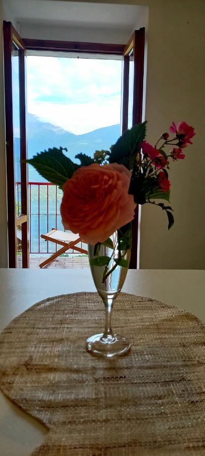 Viewtiful Homestay Stazzona Kültér fotó